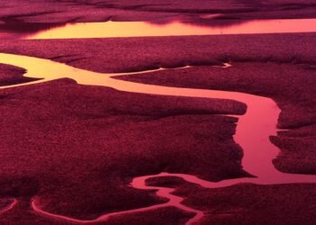 low cost auto insurance