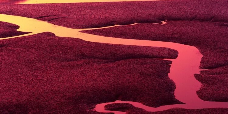 low cost auto insurance