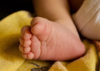 best auto insurance rates