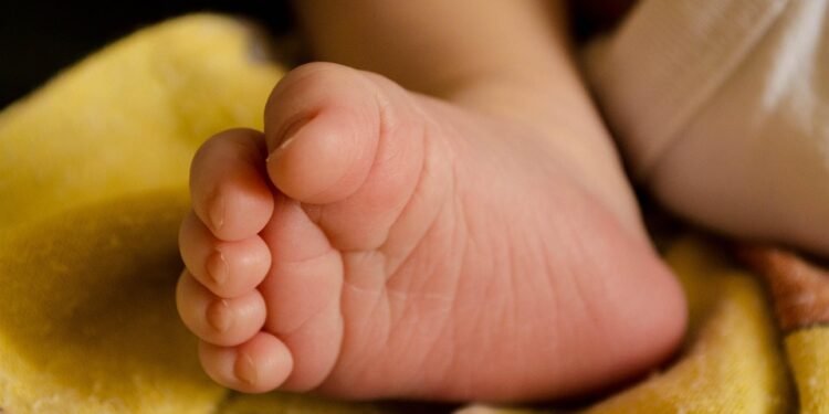 best auto insurance rates