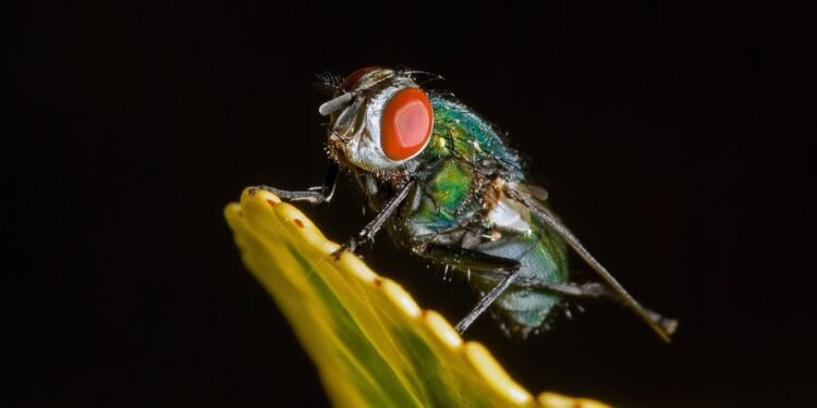 auto insurance near me