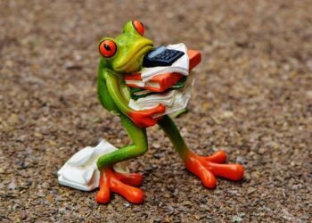 auto insurance calculator