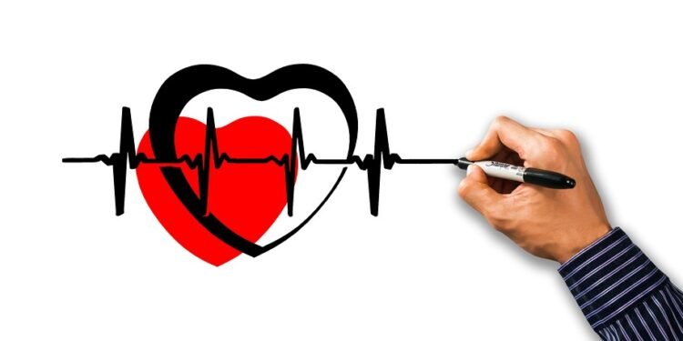 auto insurance rates