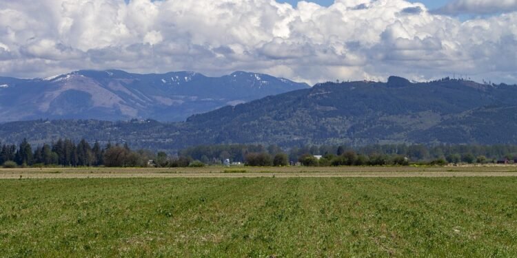 state farm auto insurance