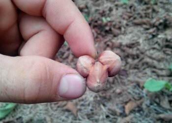 cheap auto insurance