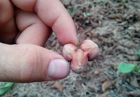 cheap auto insurance