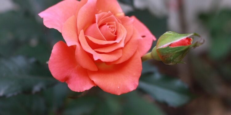 Dynamic Pricing: How AI is Changing the Auto Insurance Landscape 1 auto insurance rates