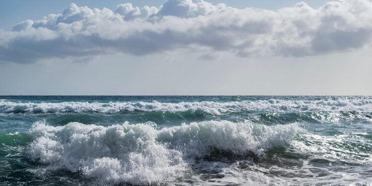 temporary car insurance