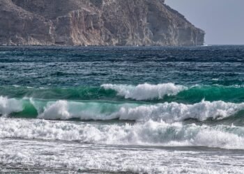 temporary car insurance