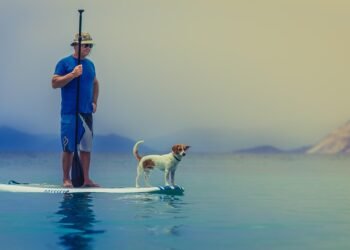 non owner car insurance