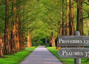 auto insurance quotes