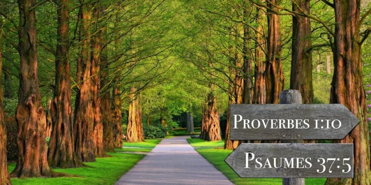 auto insurance quotes