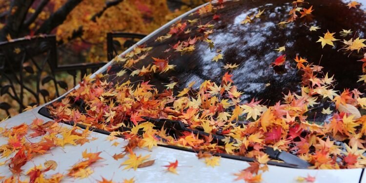 non owner car insurance