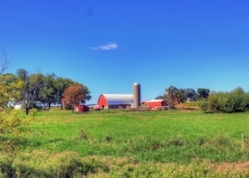 state farm auto insurance