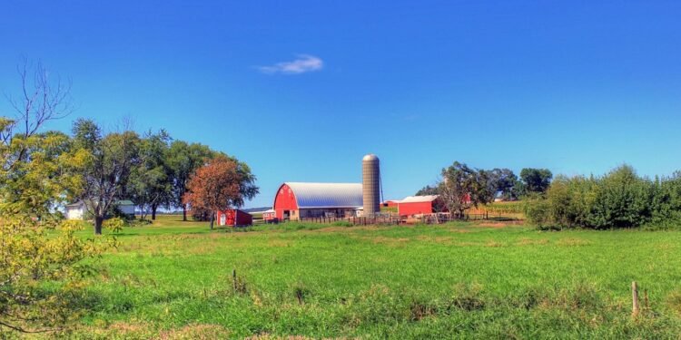 state farm auto insurance