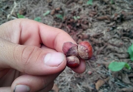 cheap auto insurance