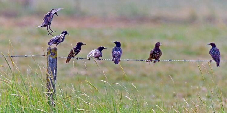 Student Savings: How to Find Affordable Car Insurance 1 best car insurance for students