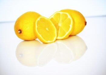 car insurance cost estimator