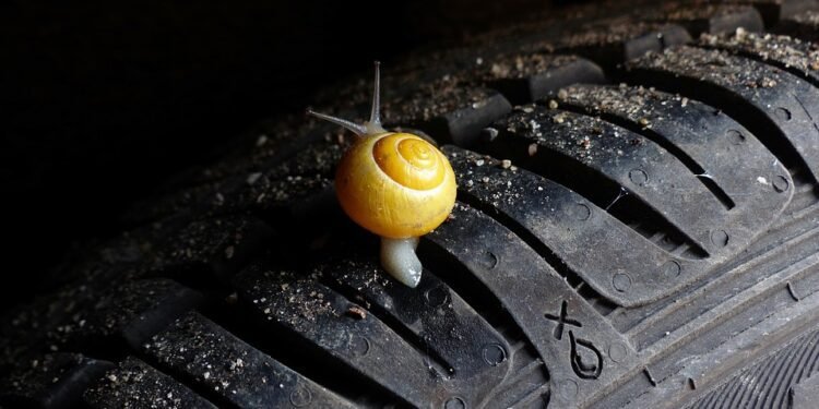 liability car insurance