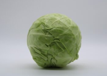 low cost auto insurance