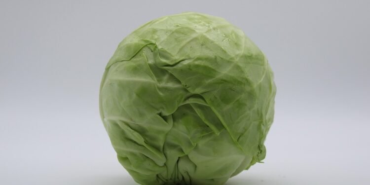 low cost auto insurance