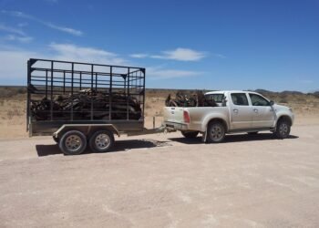 commercial auto insurance