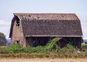 state farm auto insurance