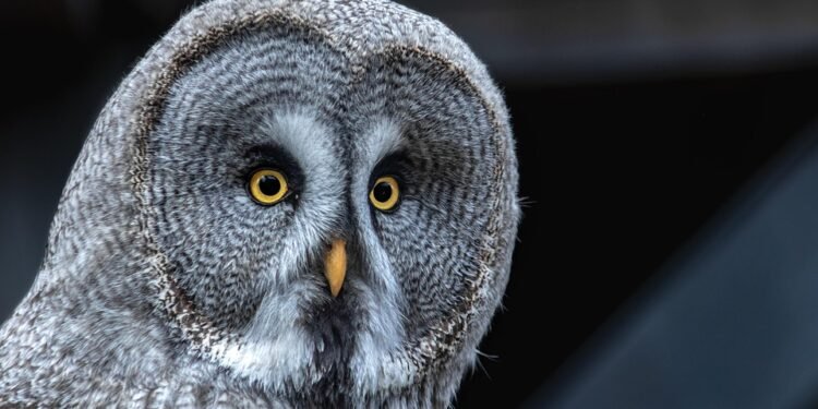 auto insurance near me