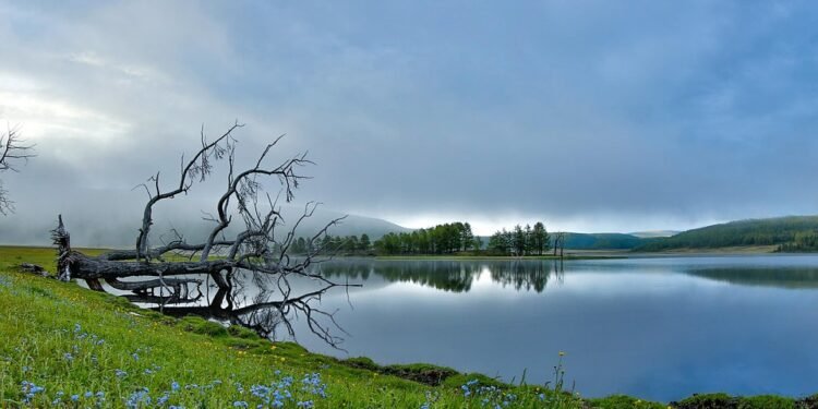 auto insurance near me