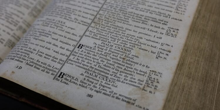 auto insurance quotes