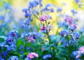 auto insurance near me