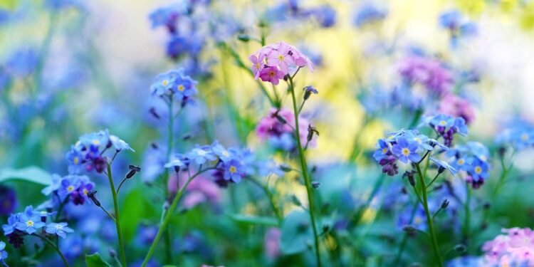 auto insurance near me