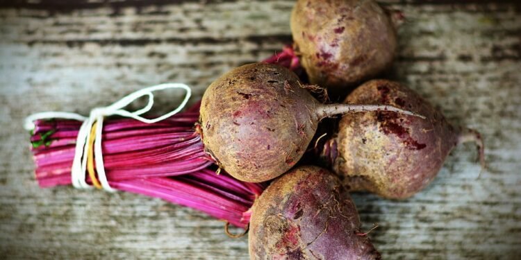 bundle home and auto insurance