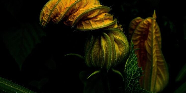 low cost auto insurance