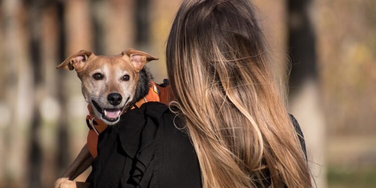 non owner car insurance